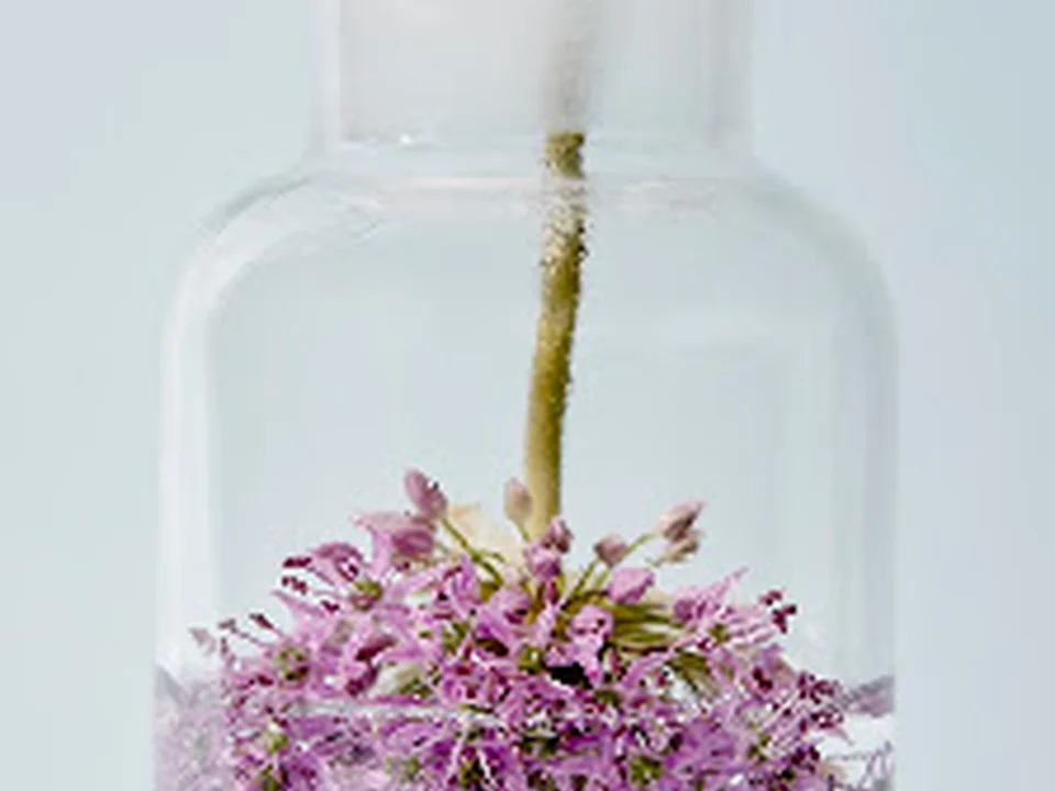 Stevens Apotheken