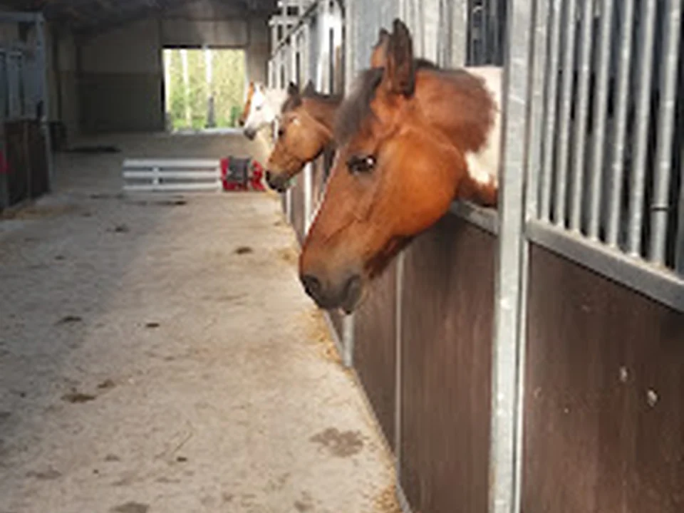 Capelse Manege, Rotterdam