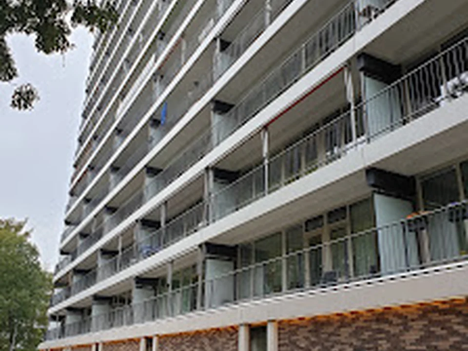 Stichting Ayudo, Rotterdam