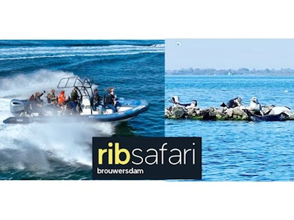 RIB-Adventure & Dolphin Events, Rotterdam
