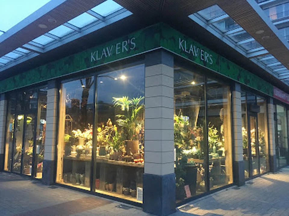 Klawers, Rotterdam