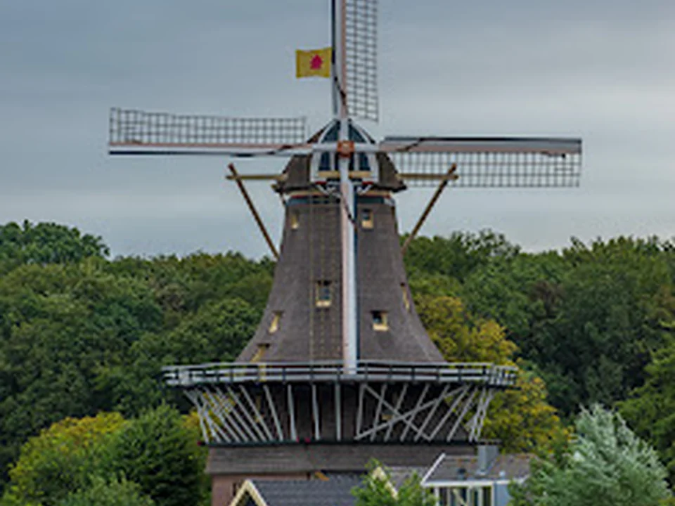 Molen De Ster, Rotterdam