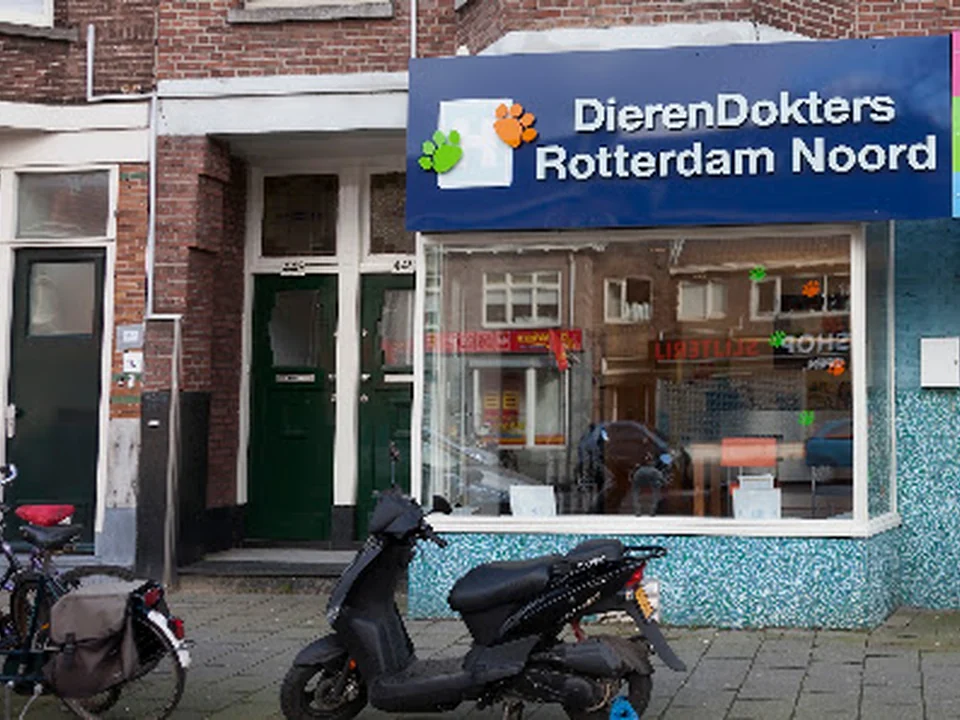 DierenDokters Rotterdam Noord