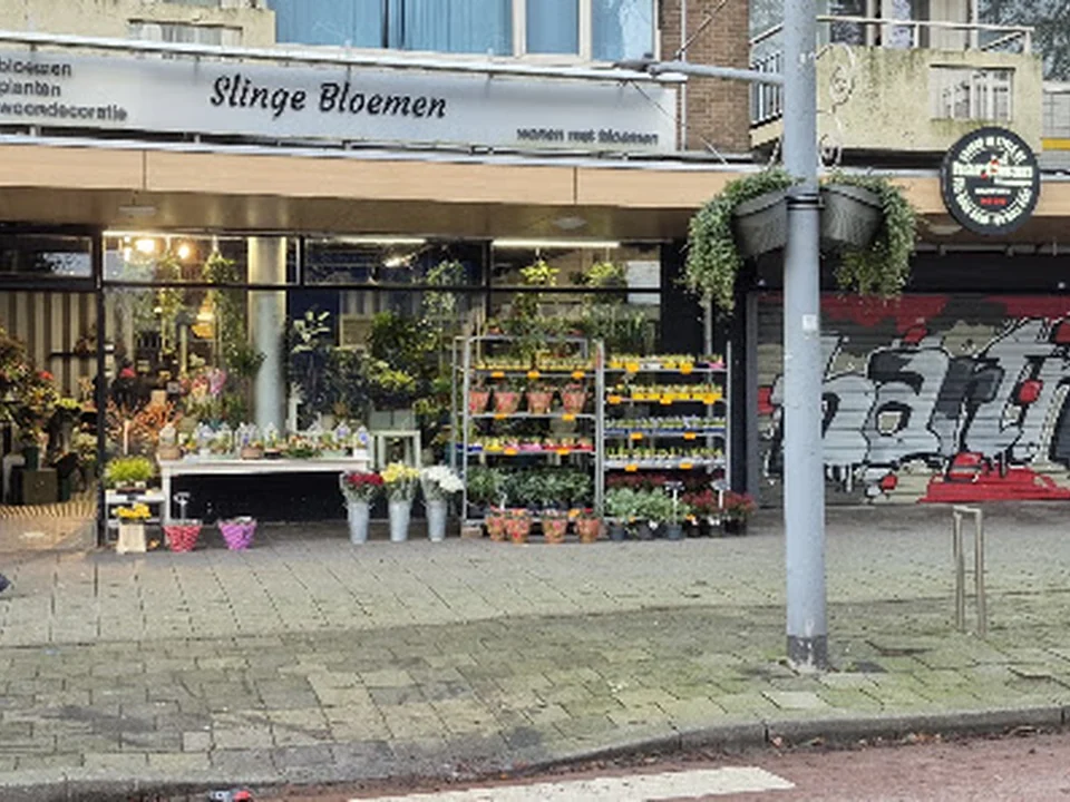Slinge bloemen, Rotterdam