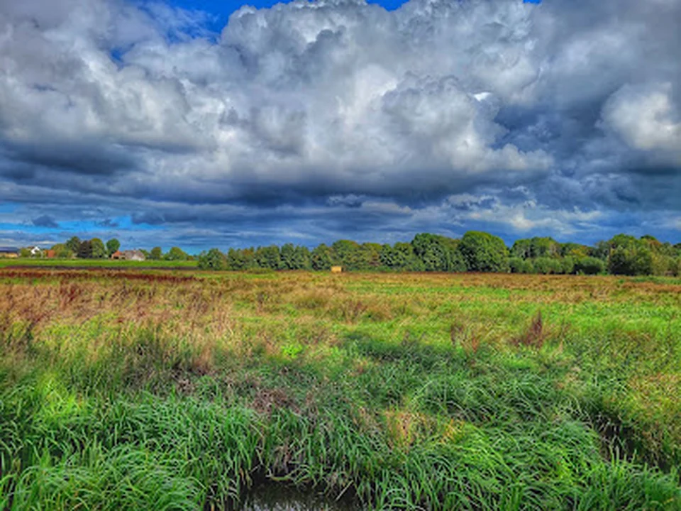 Ommoordse veld, Rotterdam