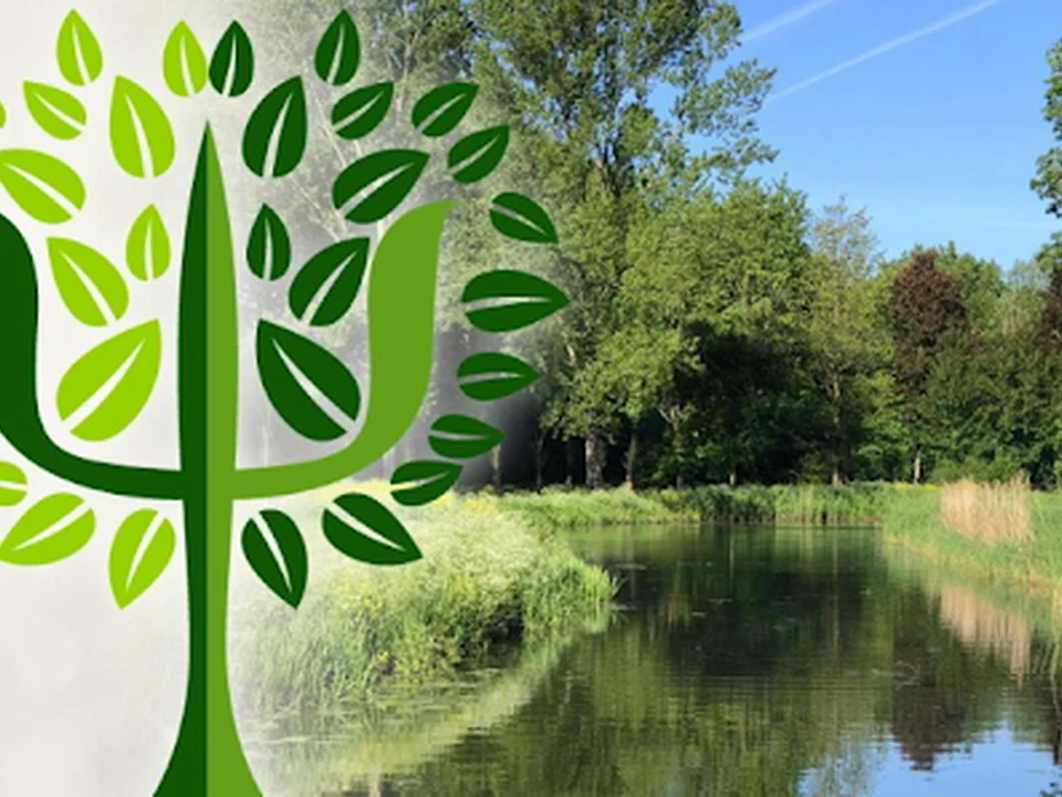 GreenPsy, Rotterdam