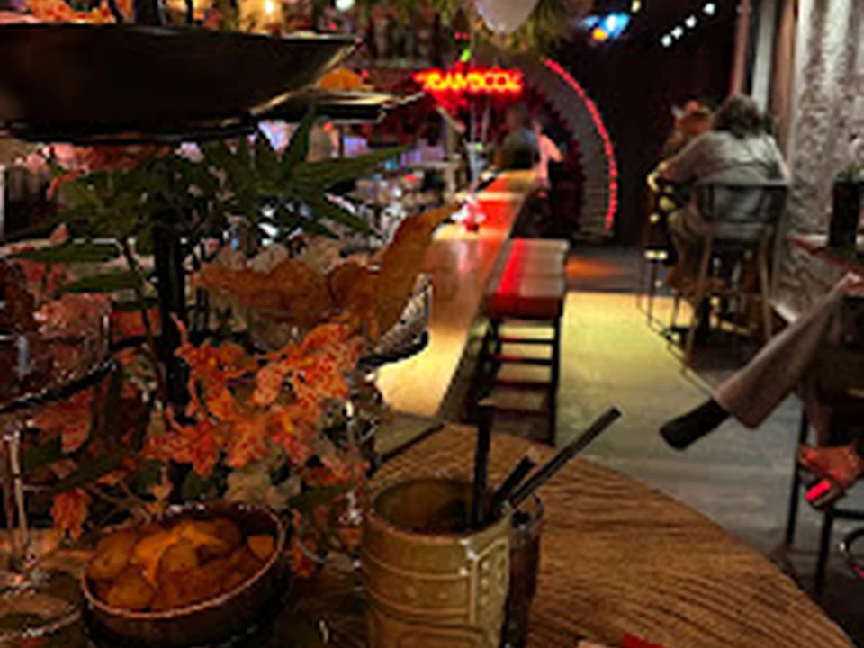 Bambooz, Rotterdam