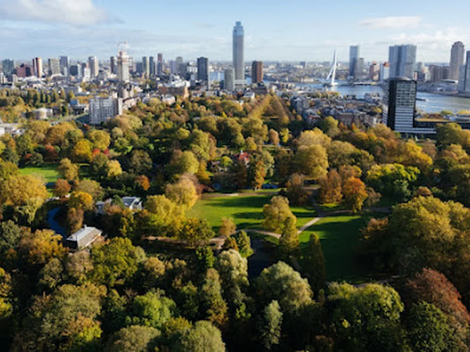 Het Park, Rotterdam