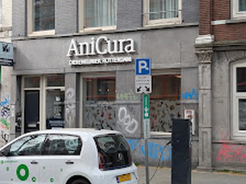 AniCura Dierenkliniek Rotterdam Centrum