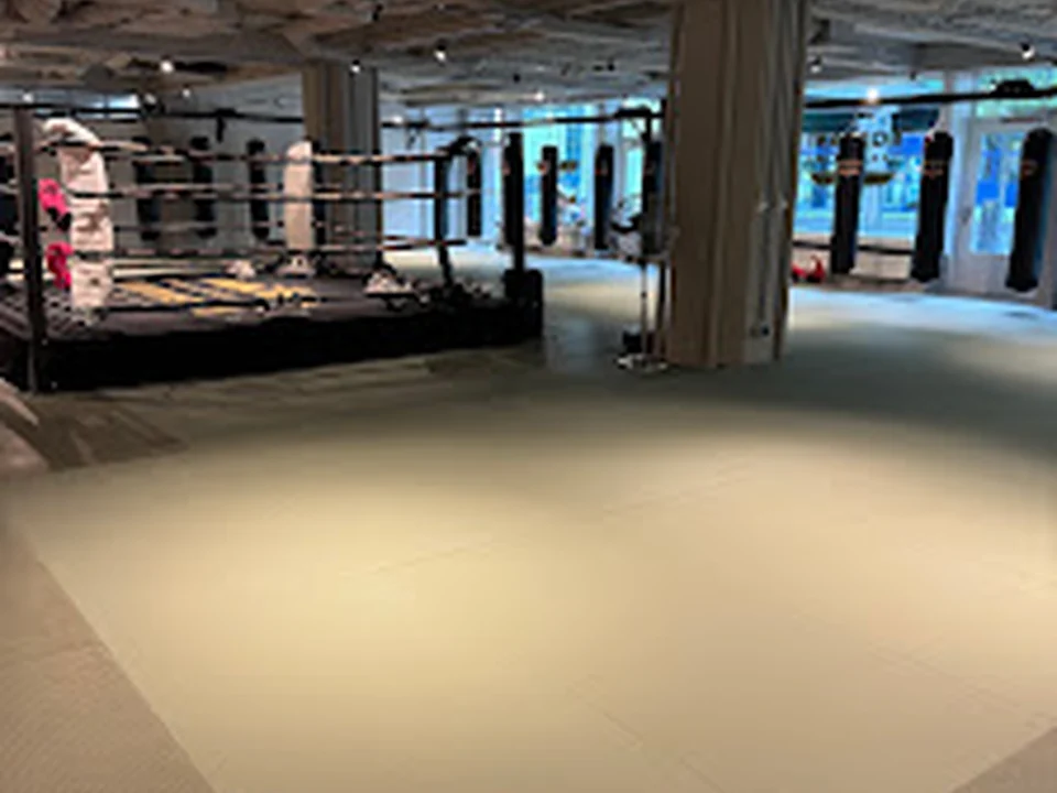 Roshani thaiboxing, Rotterdam