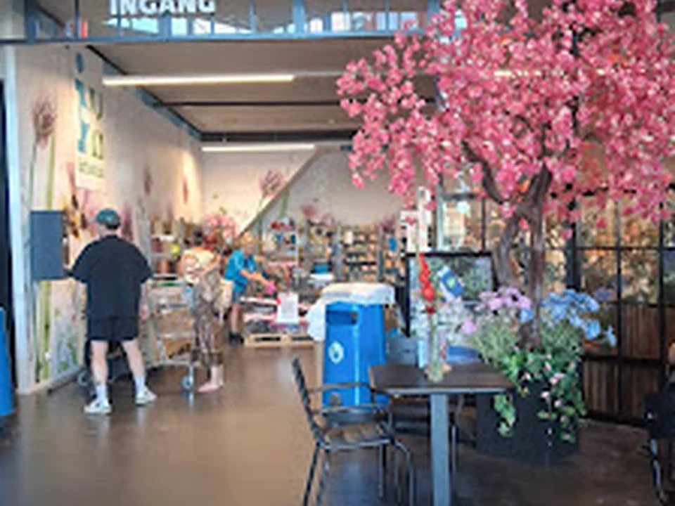 Intratuin Rhoon, Rotterdam