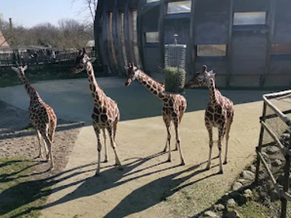 Diergaarde Blijdorp, Rotterdam