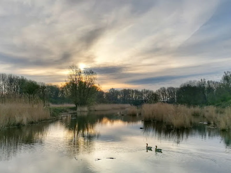Polder De Esch, Rotterdam