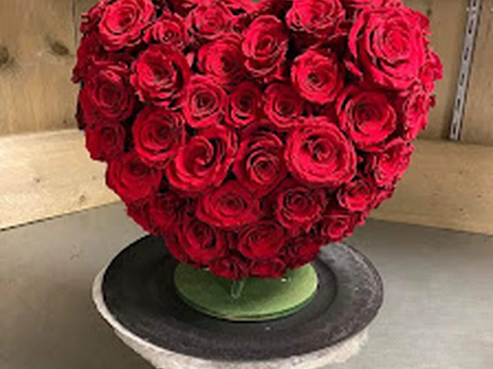 Bloemen & Kadoshop Maja, Rotterdam