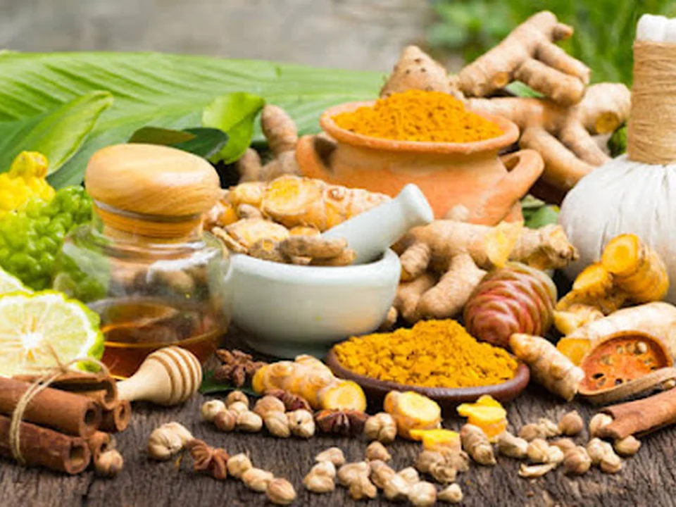 Namostute Yoga I Yoga I Ayurveda I Reiki, Rotterdam