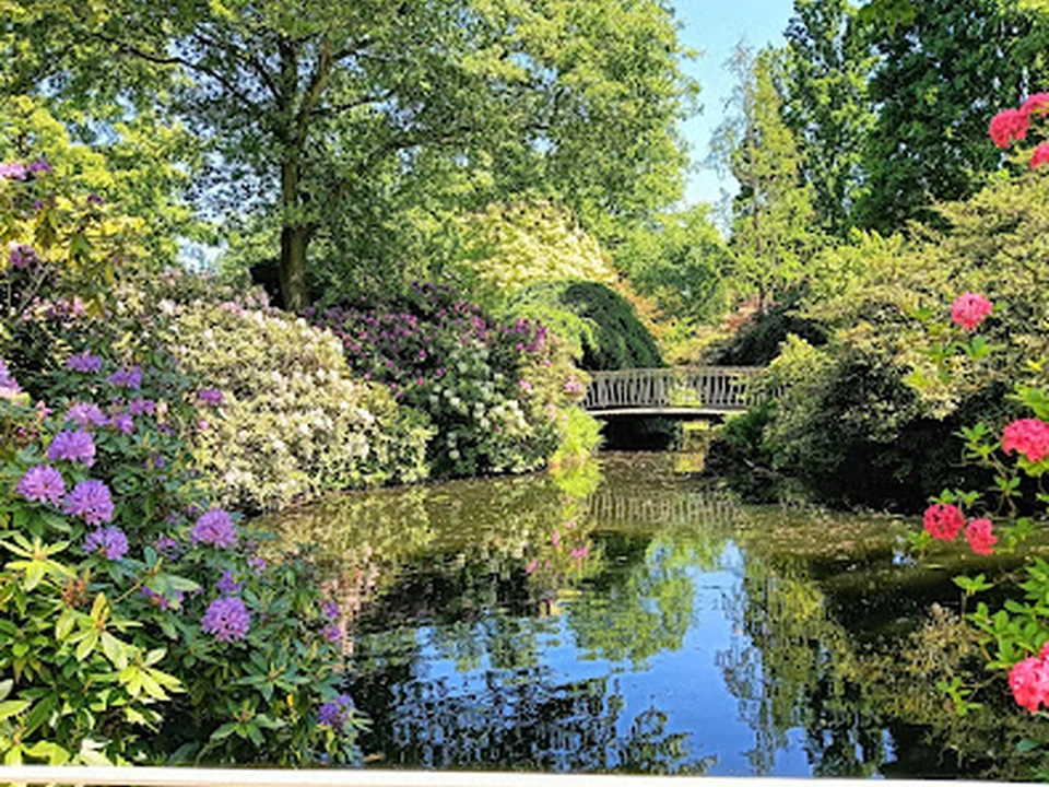 Trompenburg Tuinen & Arboretum, Rotterdam