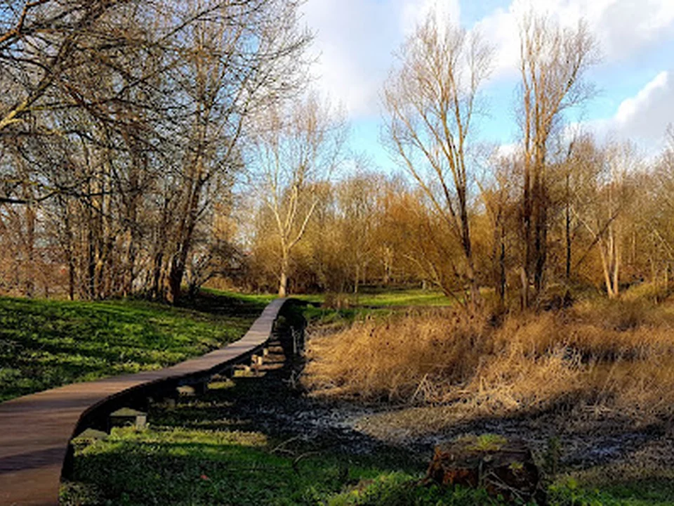 Visserijgriend, Rotterdam