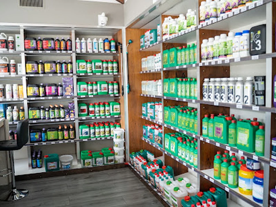 All In One Garden Shop1, Rotterdam
