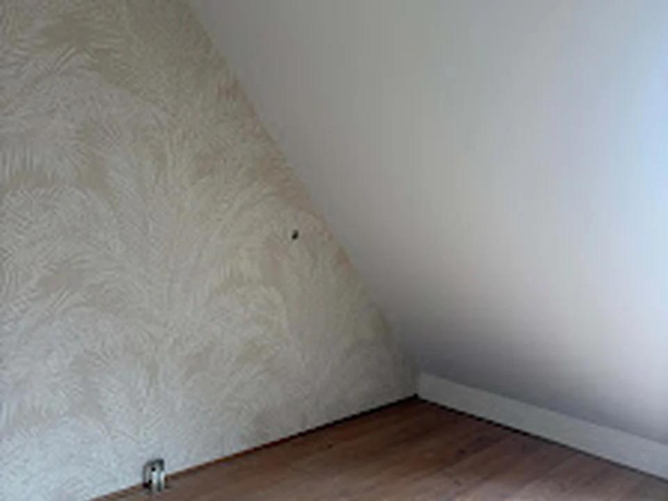 Stucadoorsbedrijf de Vries | Stukadoor Zoetermeer | Zuid-Holland, Rotterdam