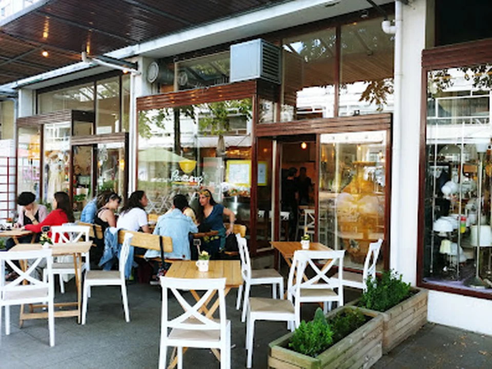 Panzero, Rotterdam