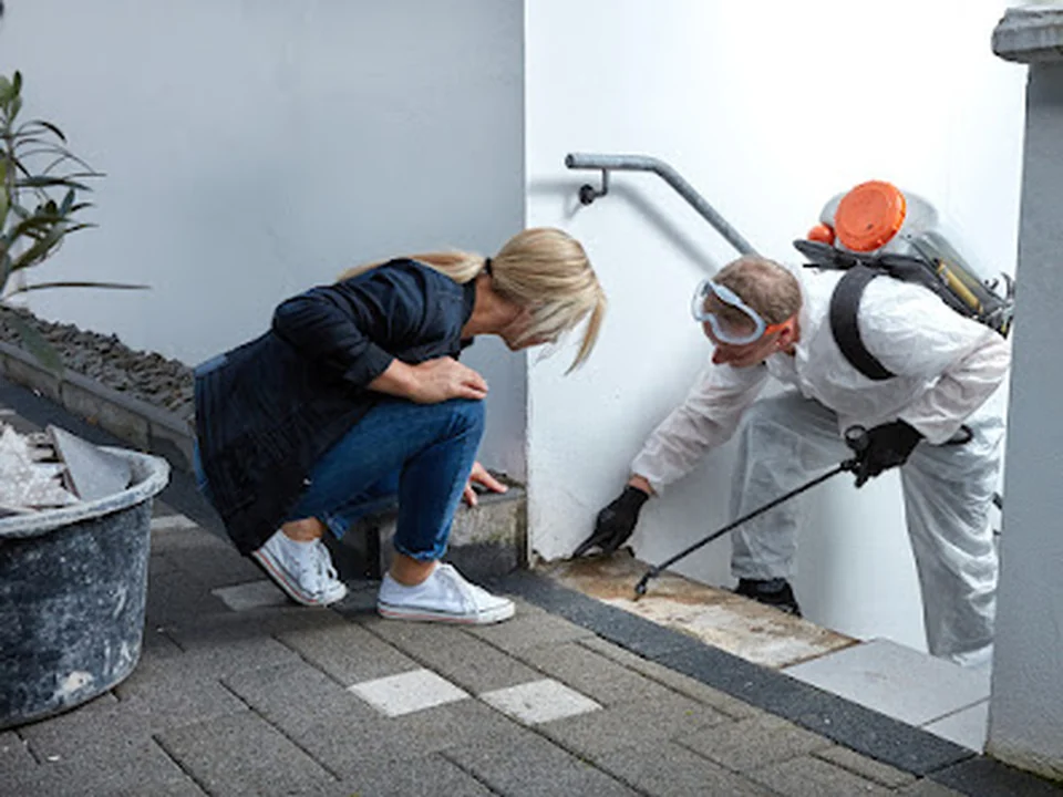 Suurd Pest Control - Ongediertebestrijden.com, Rotterdam
