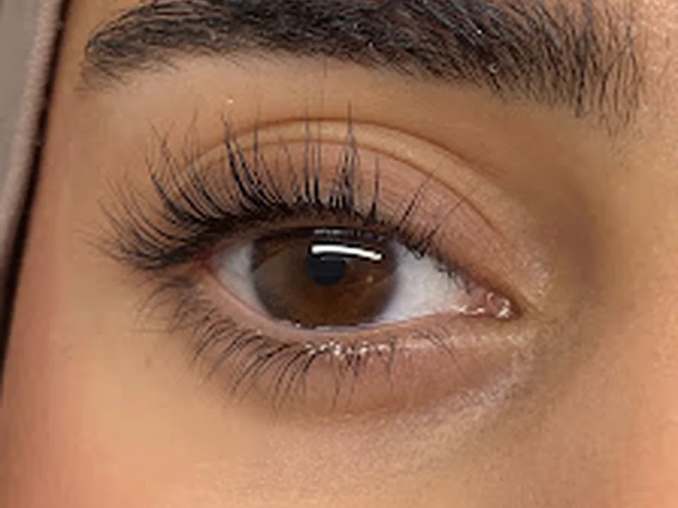 The Lash Bar Rotterdam