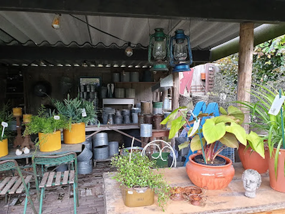 Tuinplanten De Jong, Rotterdam