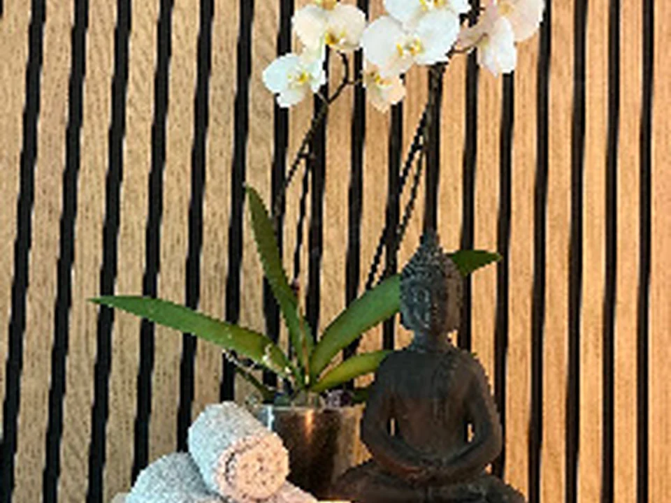 Leven Massage, Rotterdam