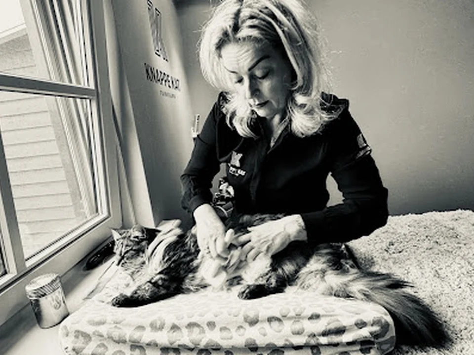 Knappe Kat Trimsalon, Rotterdam