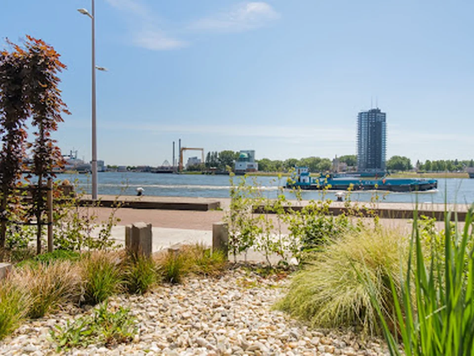 Bed & Breakfast Maasview, Rotterdam