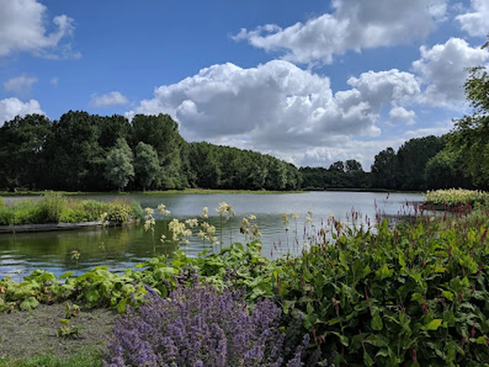 Lage Bergse Bos, Rotterdam