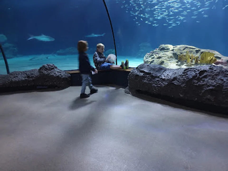 Oceanium, Rotterdam