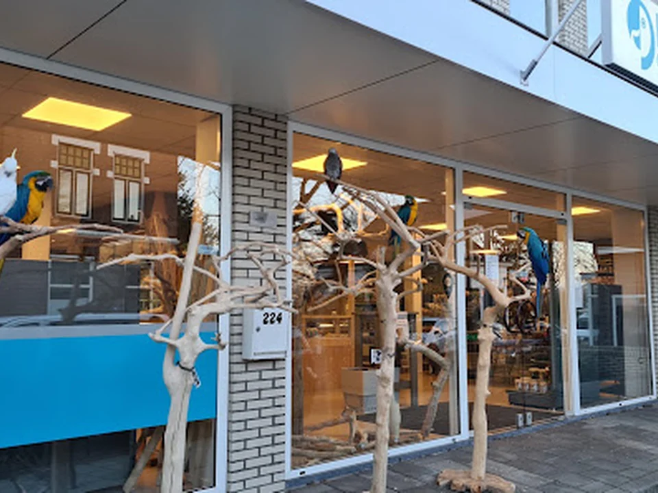 Hareco dier en vriend, Rotterdam