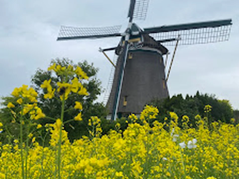 Prinsemolenpark, Rotterdam