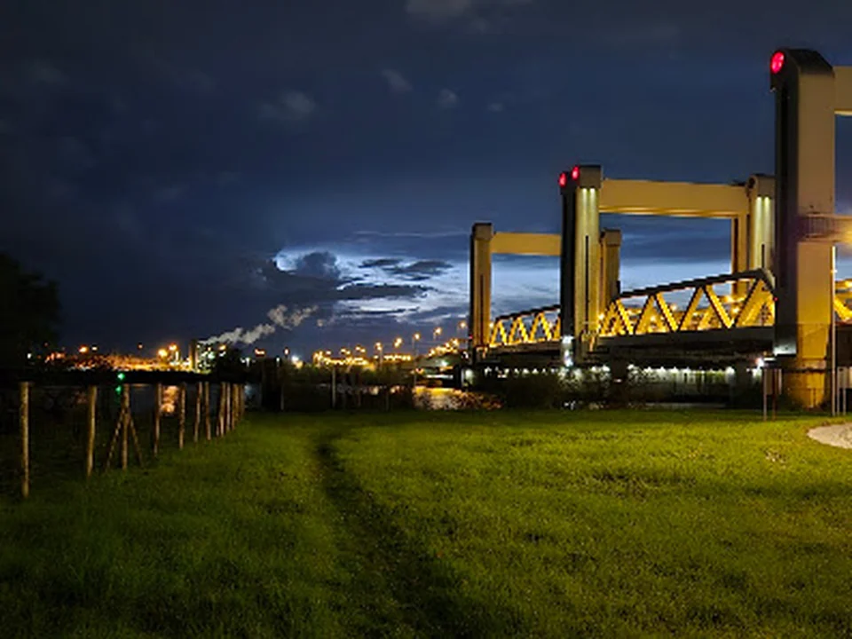 Ruigeplaatbos, Rotterdam