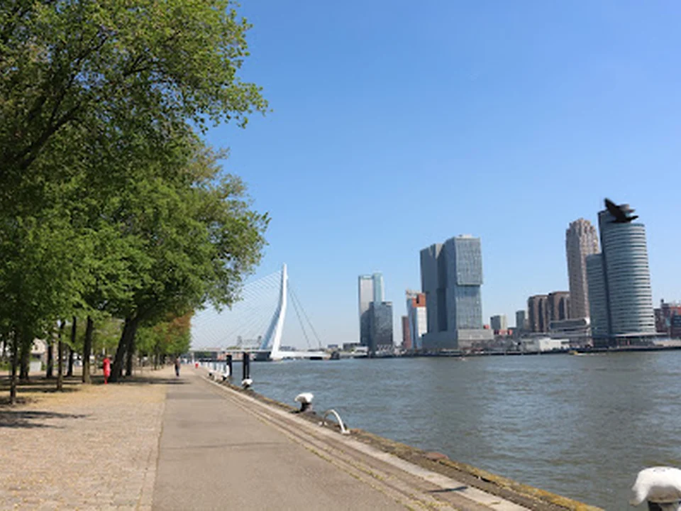 Monument Brandgrens Bombardement, Rotterdam