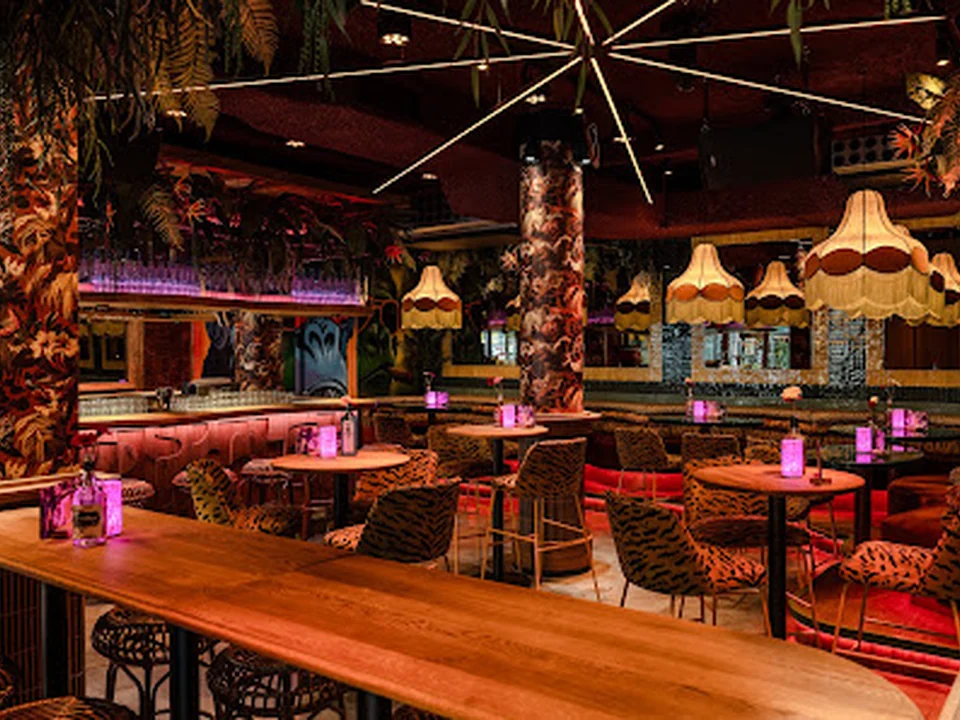 Coconuts, Rotterdam