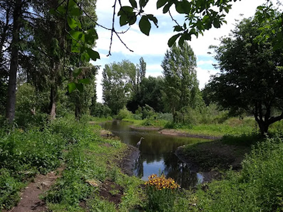 Essenburgpark, Rotterdam