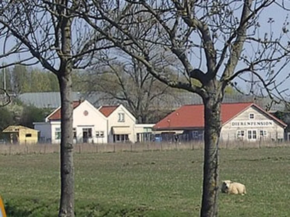 Dierenpension Hendrik Ido Ambacht, Rotterdam