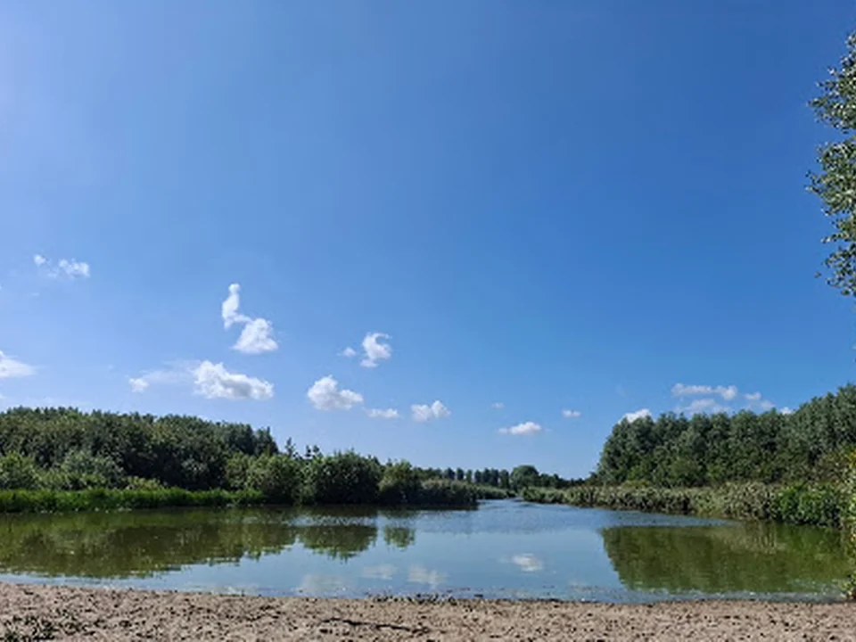 Hondenbos Dobbeplas, Rotterdam