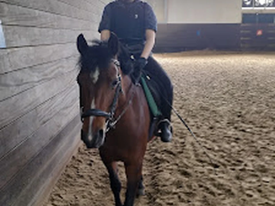 Manege De Jockey Club, Rotterdam