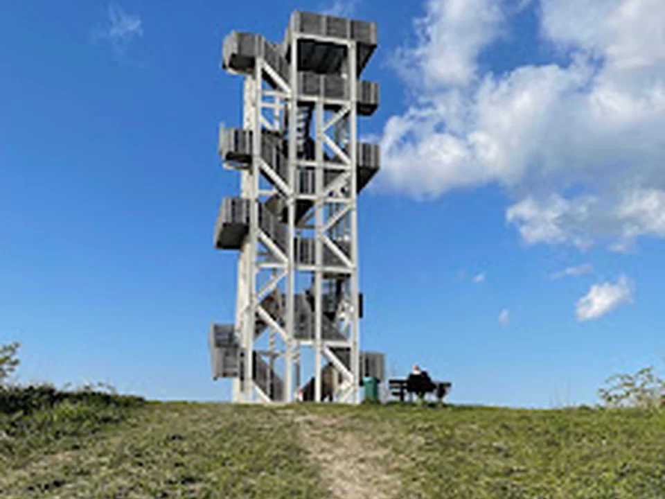 Hoge Bergse Bos, Rotterdam