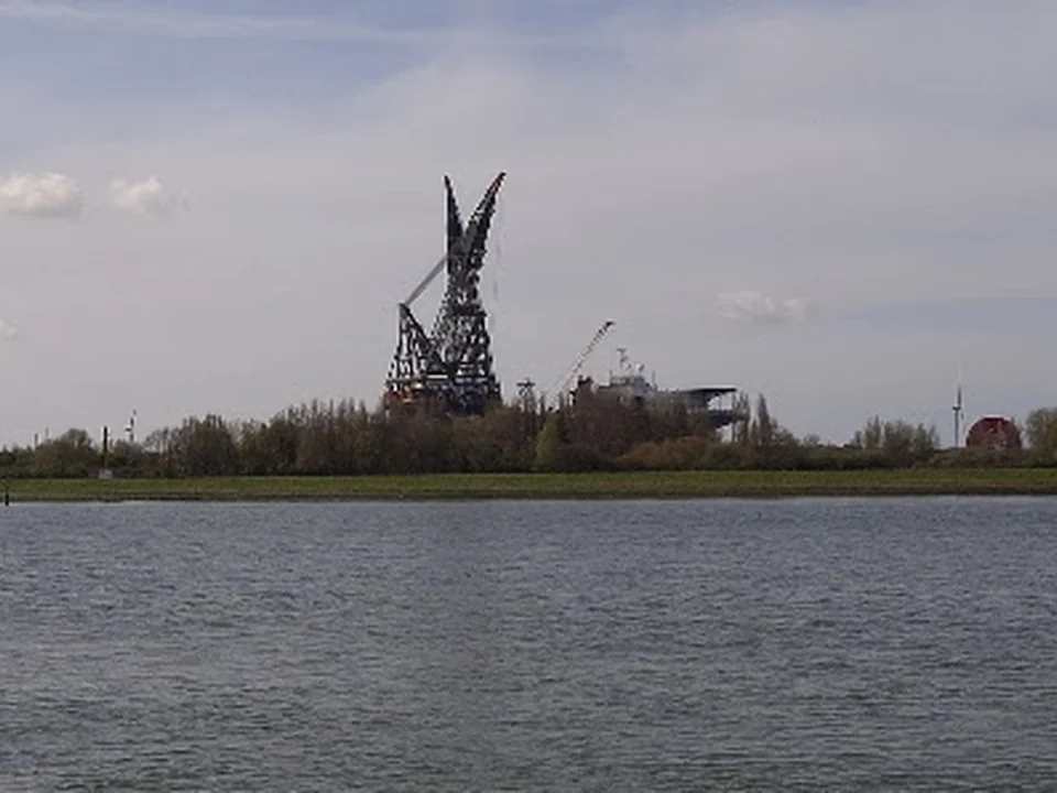 Sterrenbos, Rotterdam