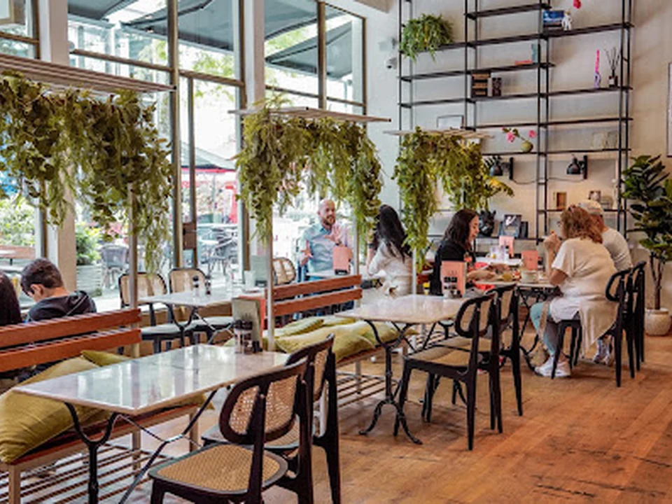 Teds Rotterdam Lijnbaan - All Day Food & Drinks