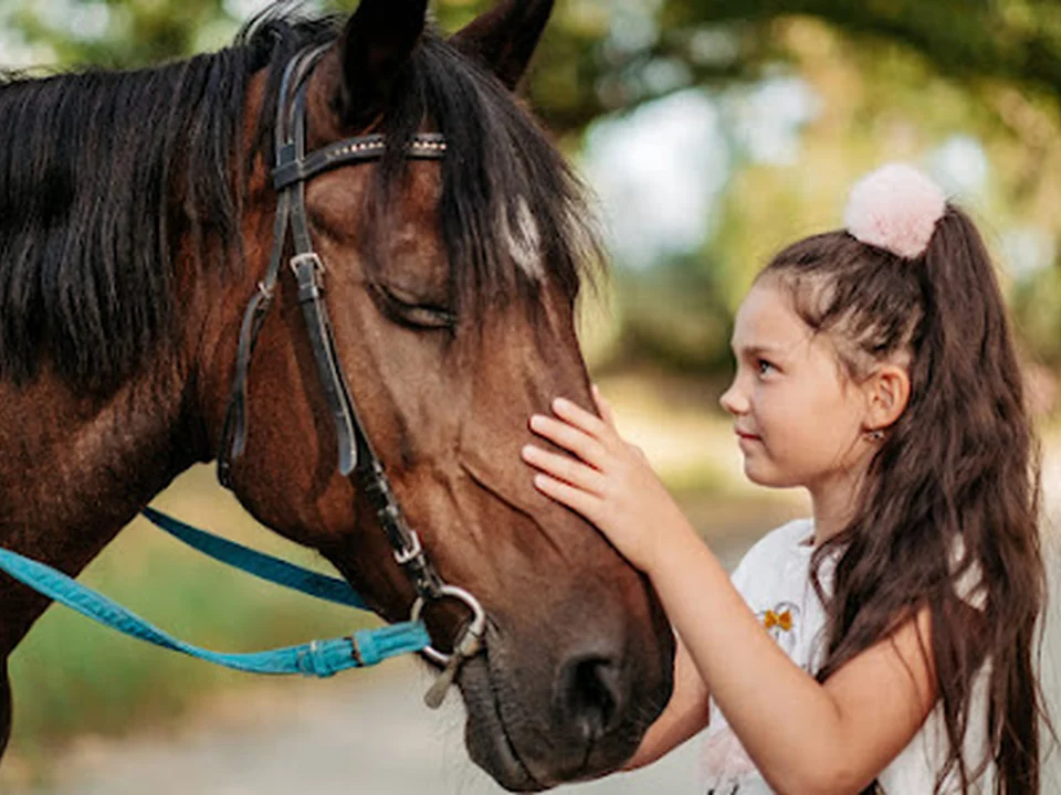 JR Paardenlease B.V., Rotterdam