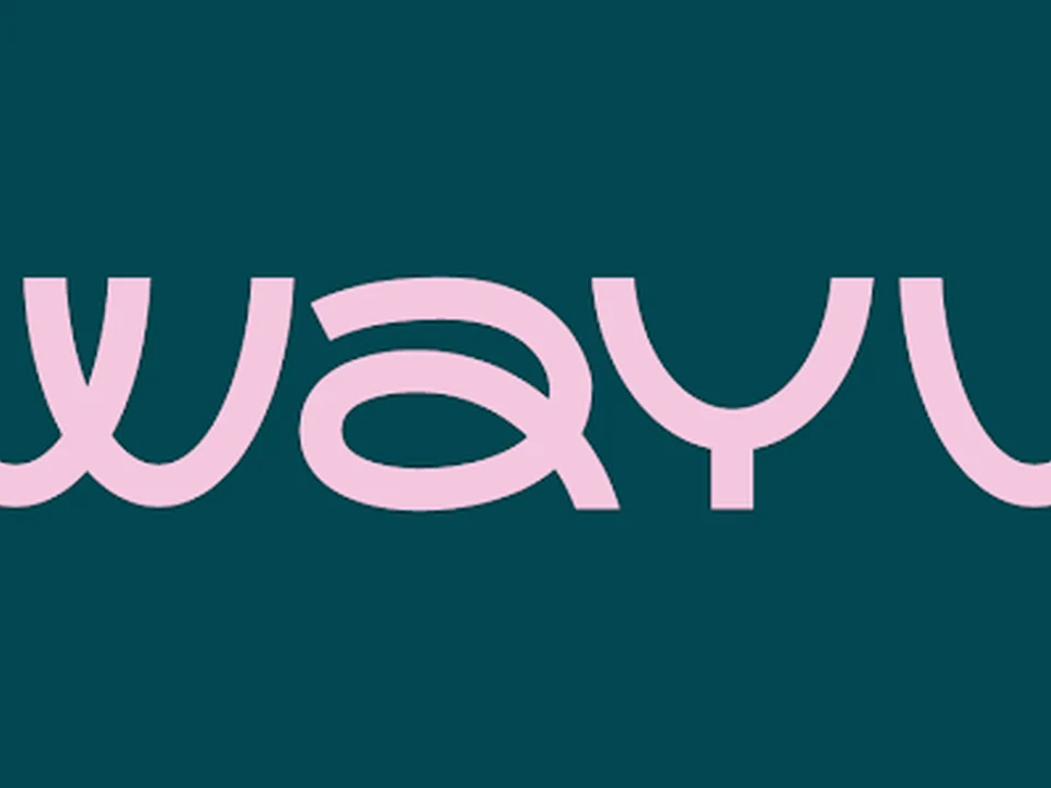 Wayv Social media en Influencer Marketing agency, Rotterdam