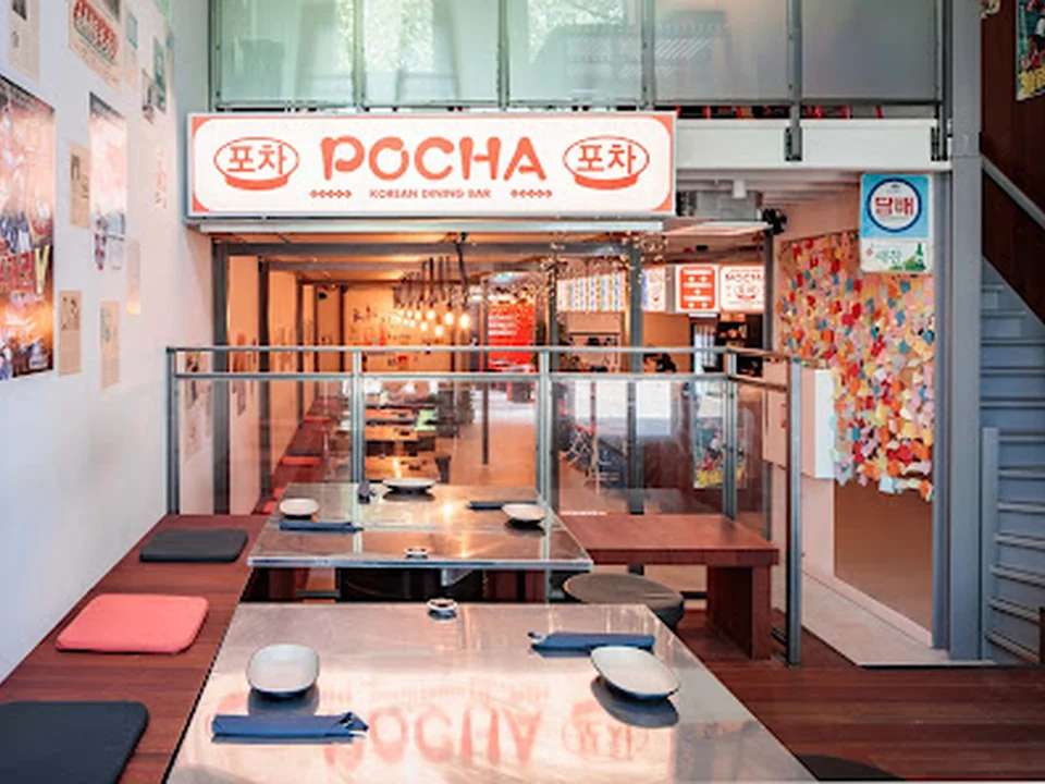 Pocha, Rotterdam