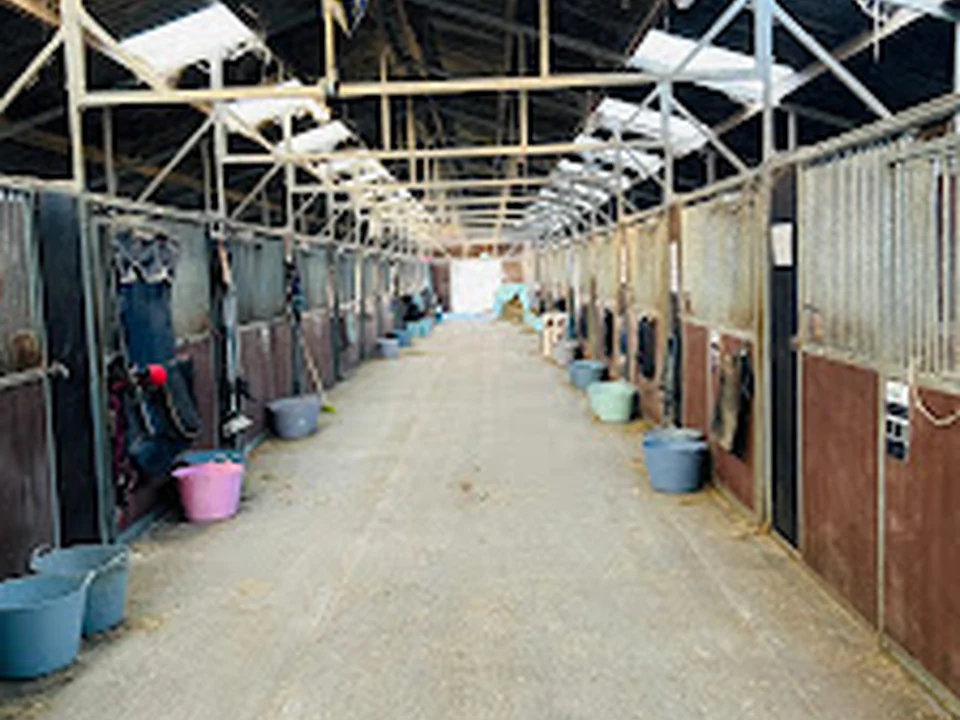 Manege Hoogvliet, Rotterdam