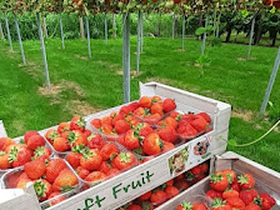 Schipper Groenten& Fruit, Rotterdam