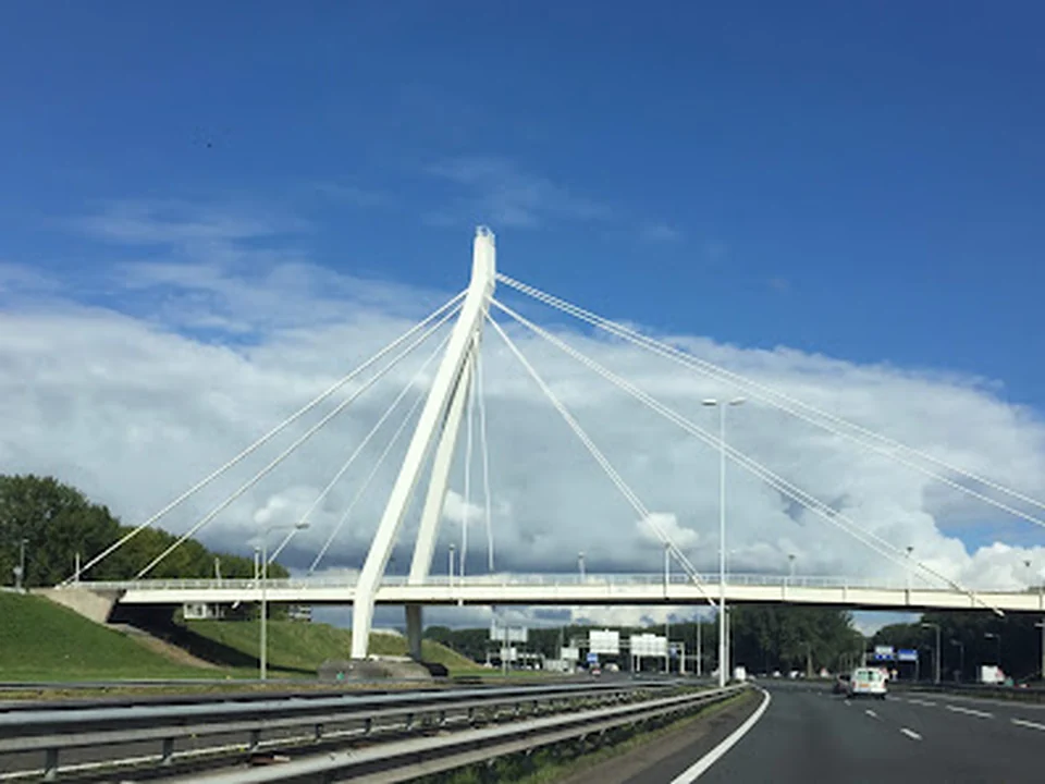 Cornelis van Beverenbrug, Rotterdam